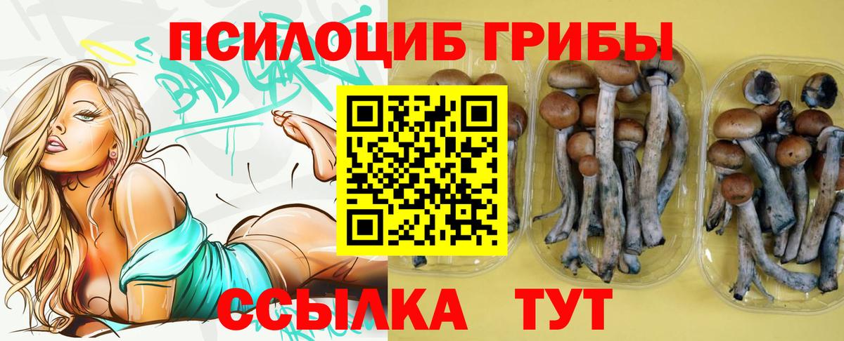 Галлюциногенные грибы прущие грибы Большой Камень