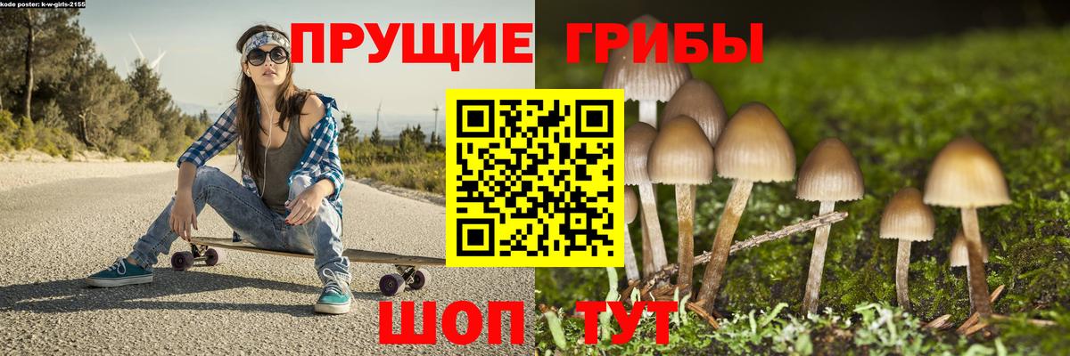 Большой Камень  Галлюциногенные грибы Cubensis  Вход с VPN  Псилоцибиновые грибы Magic Shrooms 